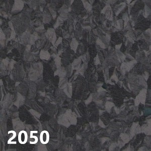 金盾2050