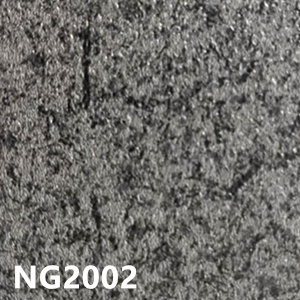 NG2002