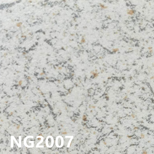 NG2007